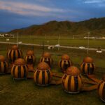 The Future of Travel: Dome House Camping Resorts Explained